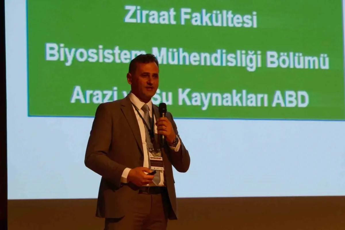 Bir kilogram zeytin için 6798 litre suya ihtiyaç duyuluyor