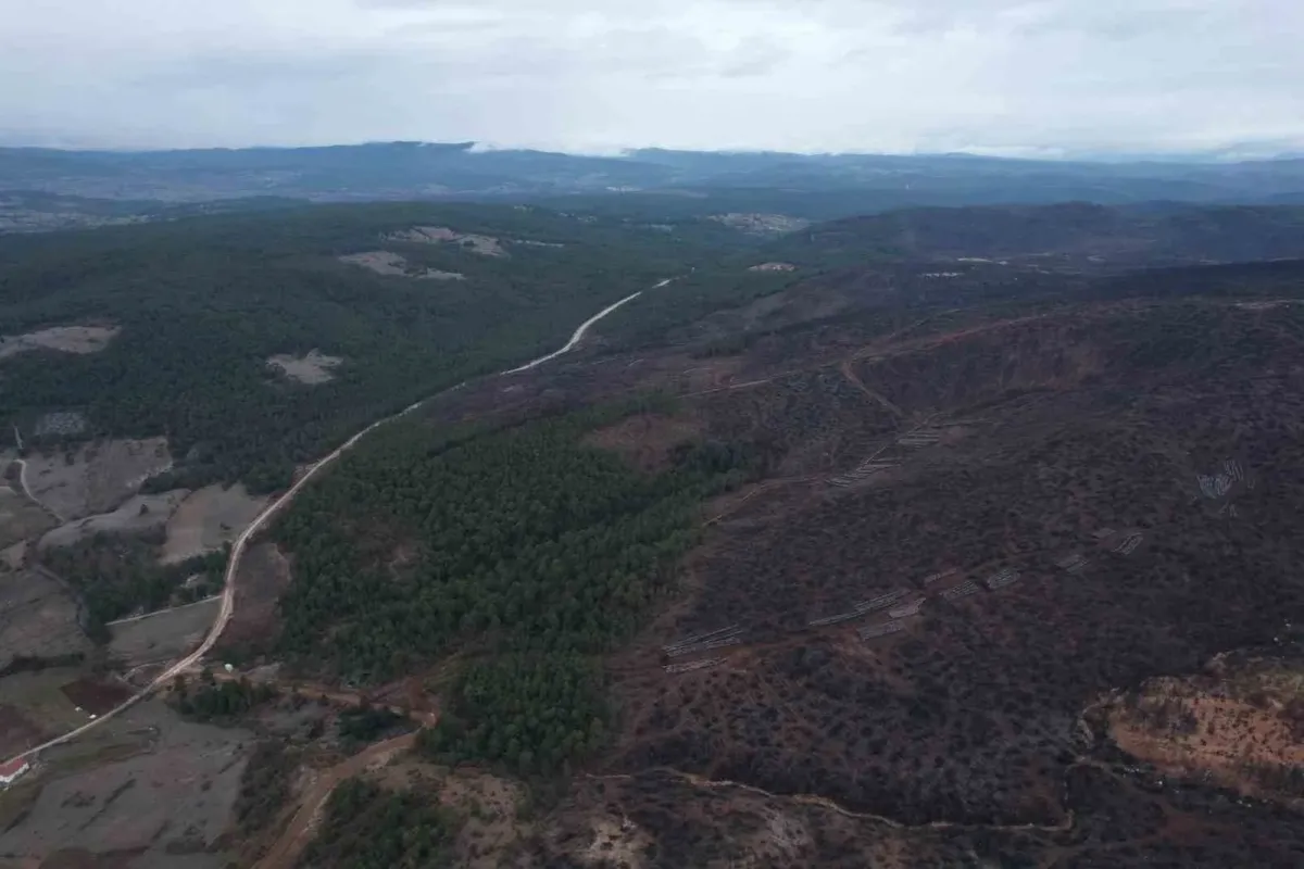 Bursa’da tarihin en büyük orman yangınında yaralar böyle sarıldı