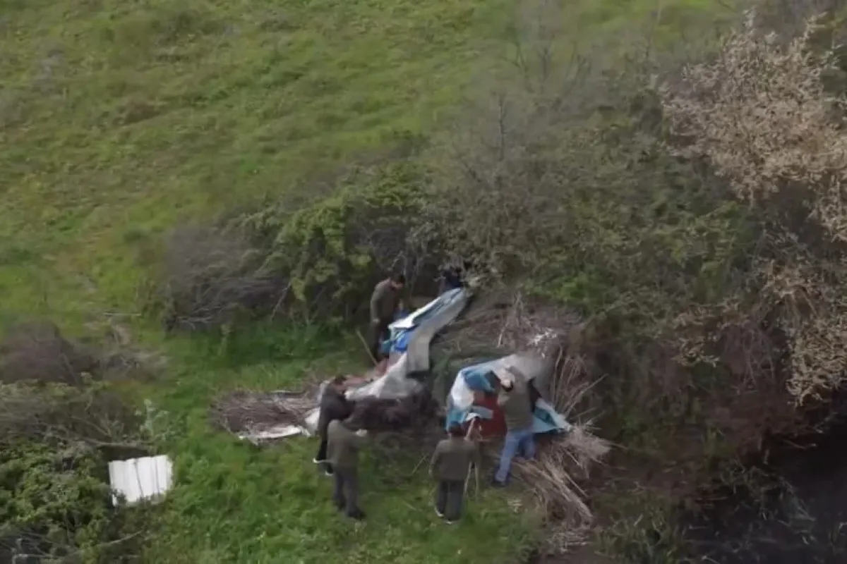 Bursa'da binlerce canlıyı kurtaracak büyük operasyon!