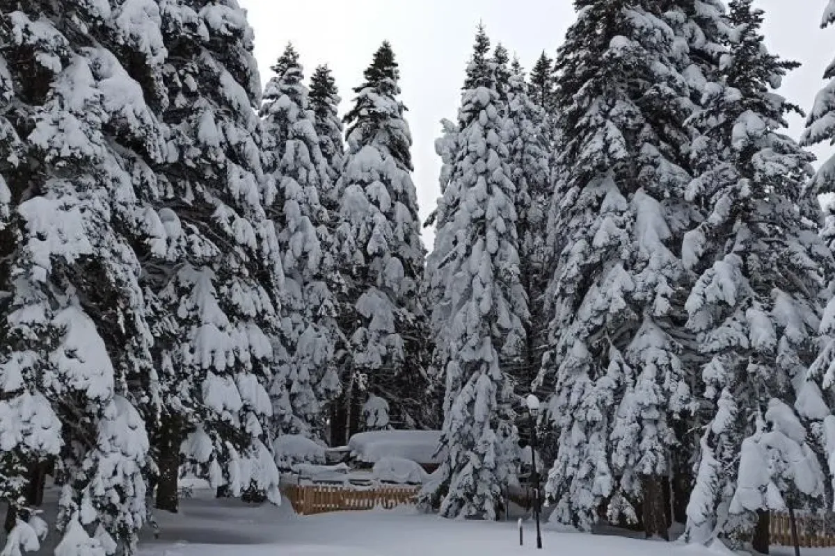 Bursa'ya kış geri geliyor!