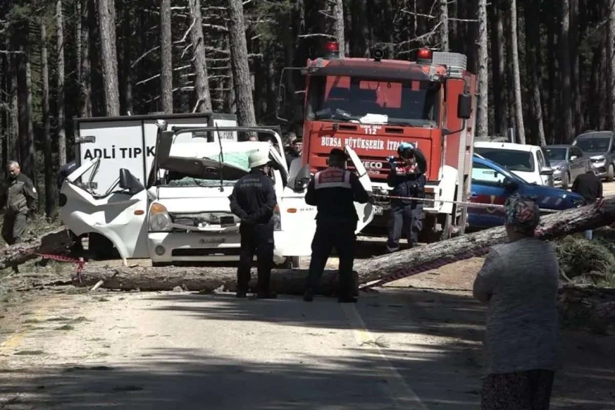 Ormanda akıl almaz ölüm