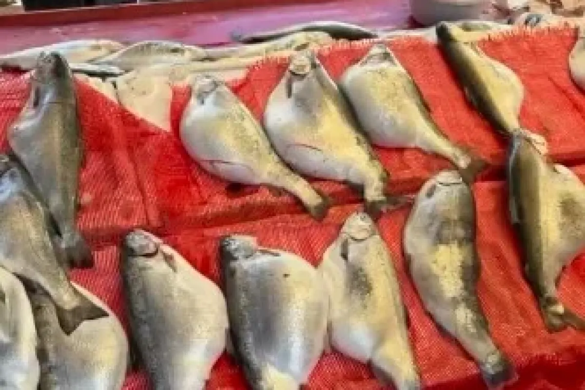 Pazarda sadece 50 TL! Sakın almayın