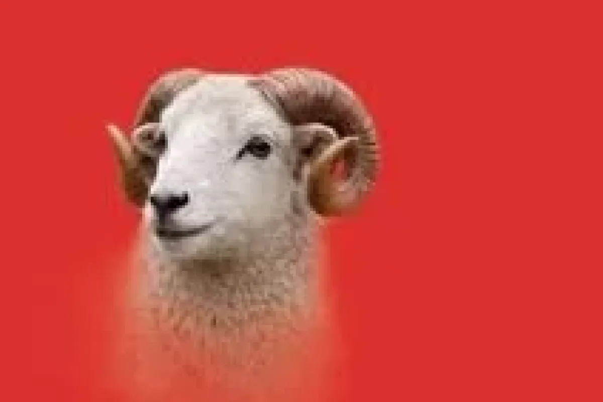 İnegöl İHH’dan bayram öncesi dev yardım