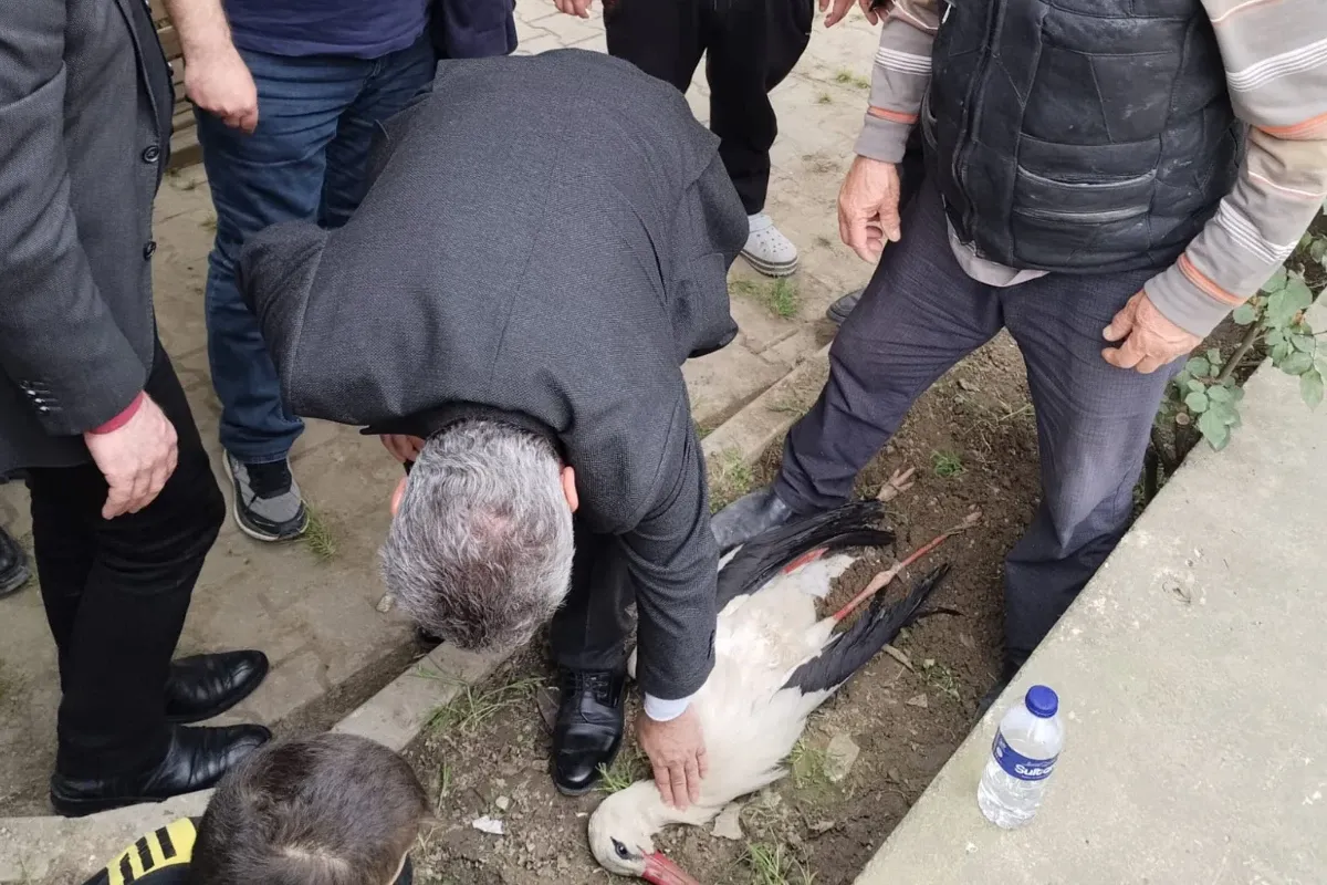 İlçe protokolünden yaralı leyleğe kalp masajı
