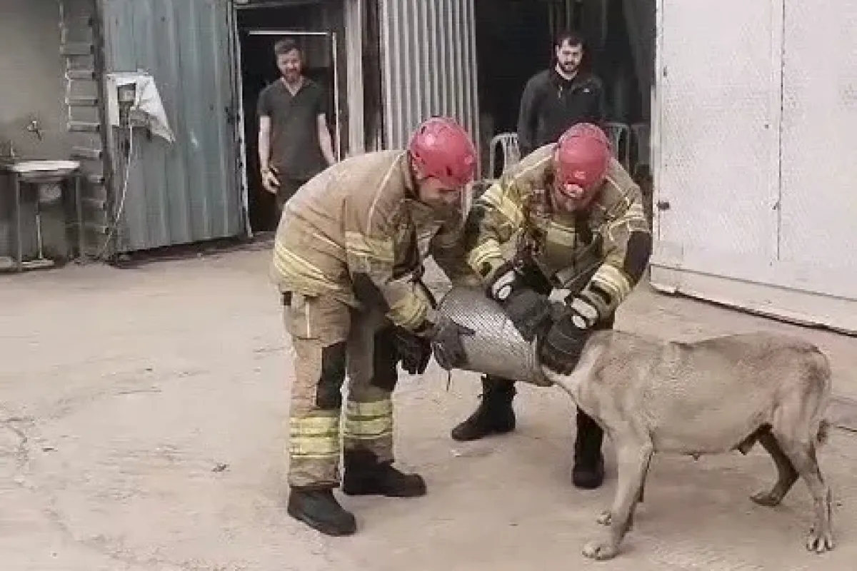 İnegöl'de köpek kurtarma operasyonu