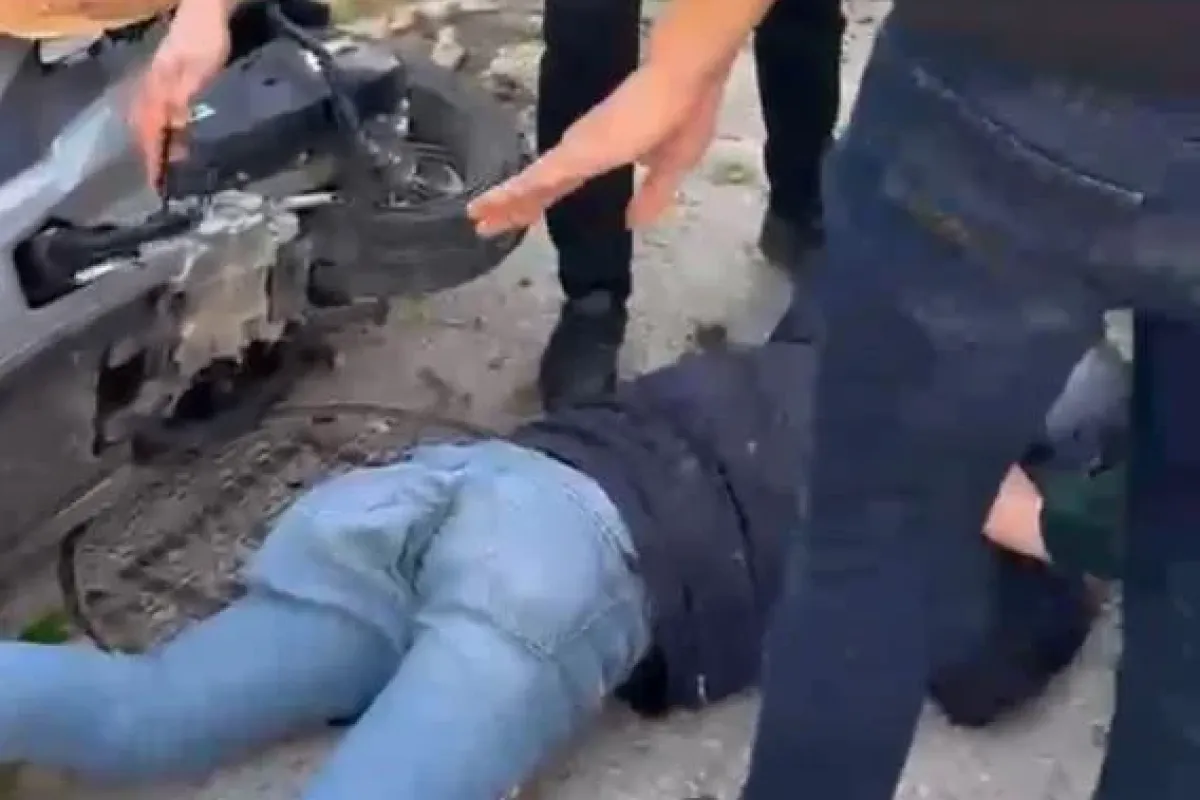 Üzerine ağaç devrilen sürücü ölümle pençeleşiyor