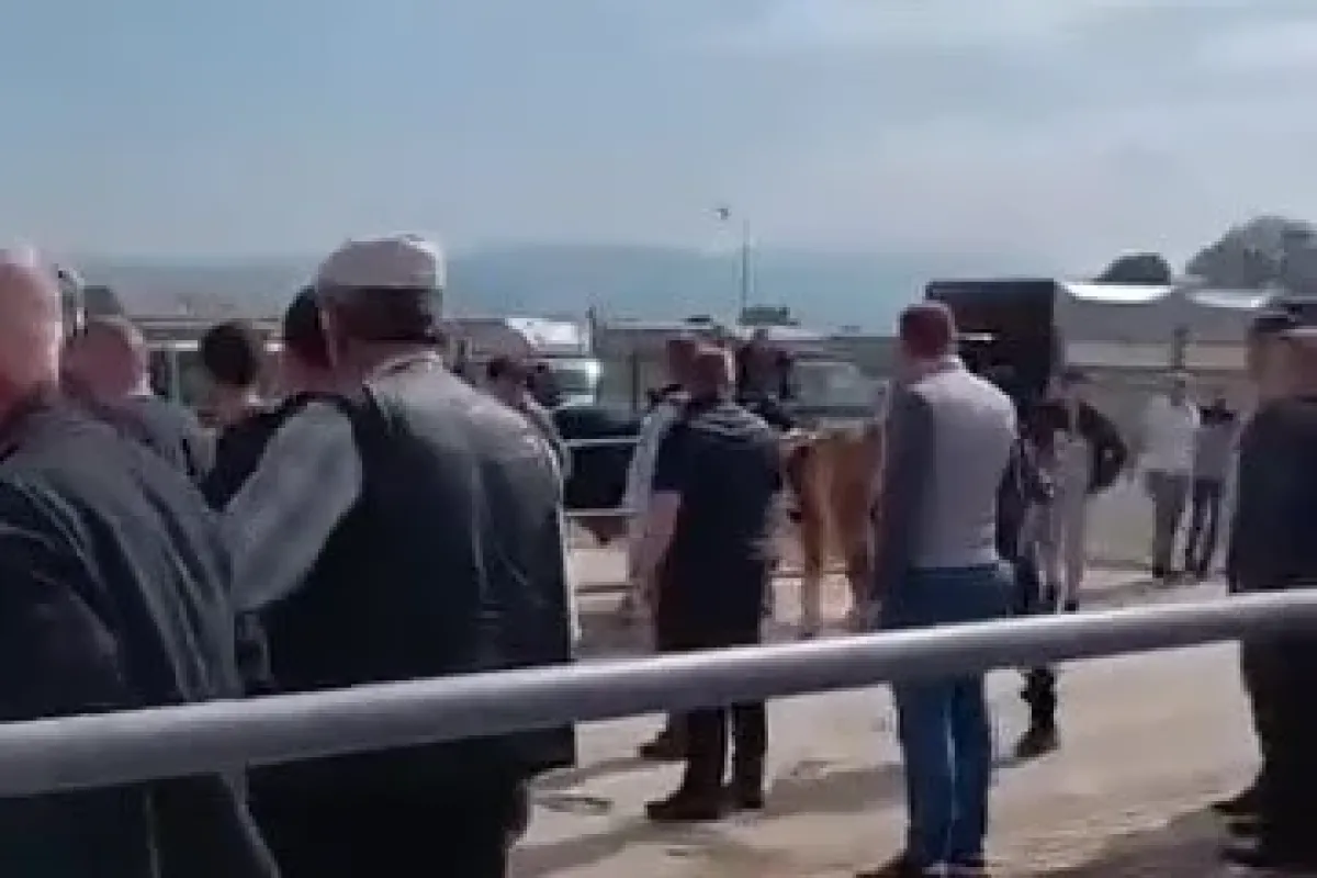İnegöl'de kurban pazarı savaş alanına döndü!