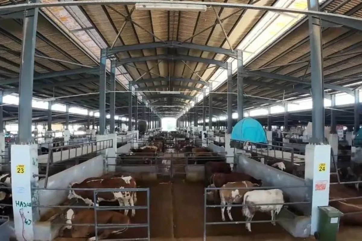 İnegöl hayvan pazarı tamamen doldu