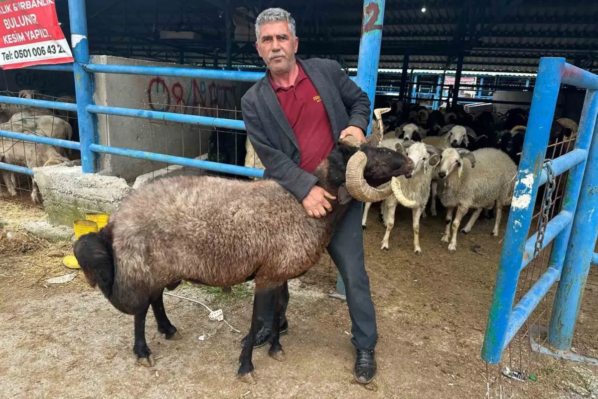 Bursa’daki kurbanlık pazarında hareketlilik