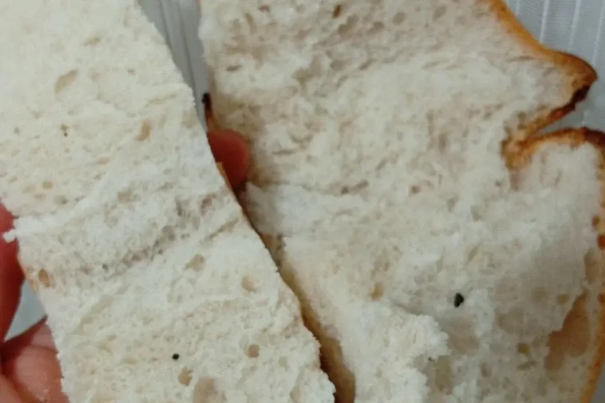 İnegöl’de şok iddia! Ekmeğin içinden fare pisliği çıktı