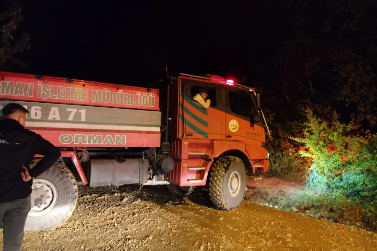 İnegöl'de düşen yıldırım yangına neden oldu