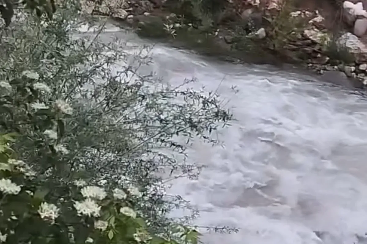 Geçen yıl kuruyan İnegöl dereleri bu yıl coştu