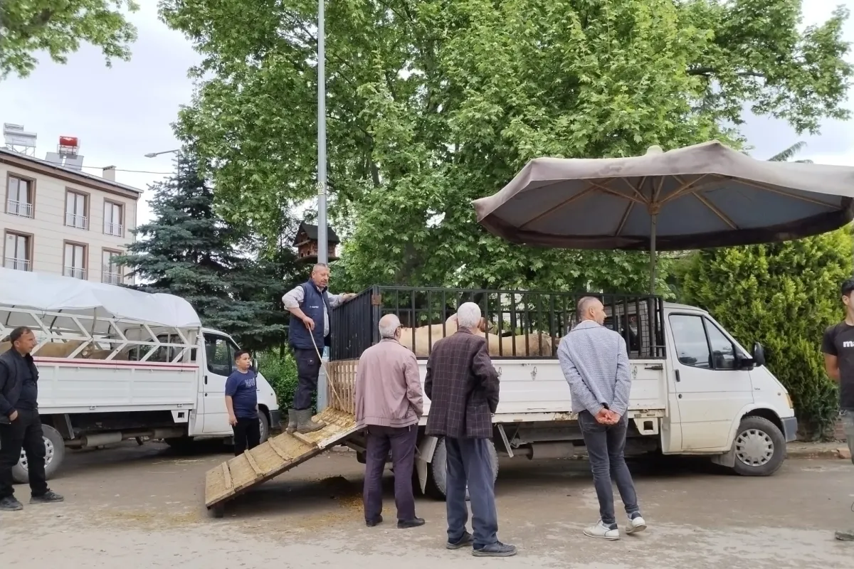 İnegöl'de alternatif kurban pazarı
