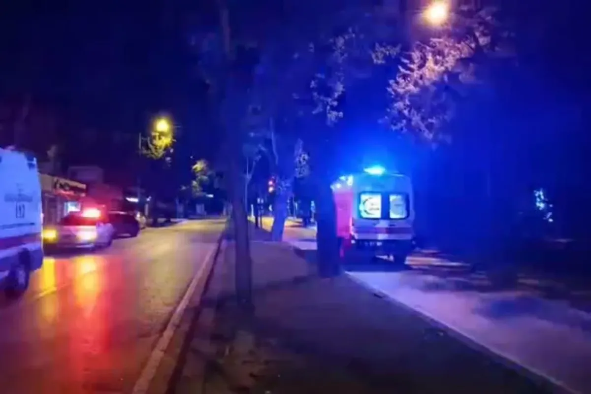 Abi kardeş 4 yıl arayla aynı sonu paylaştı!