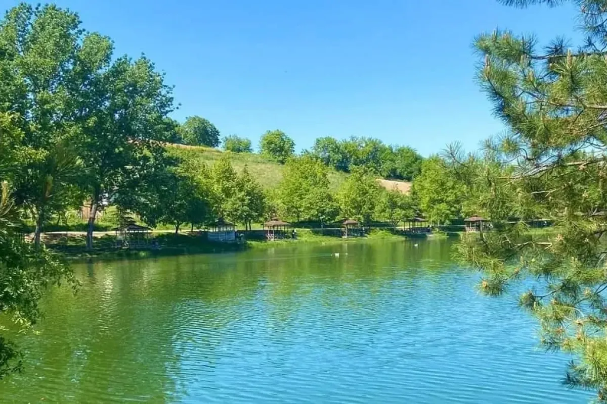 Bursa’da Piknik Yapılacak En Güzel Yerler: Serin ve Doğayla İç İçe 20 Rota