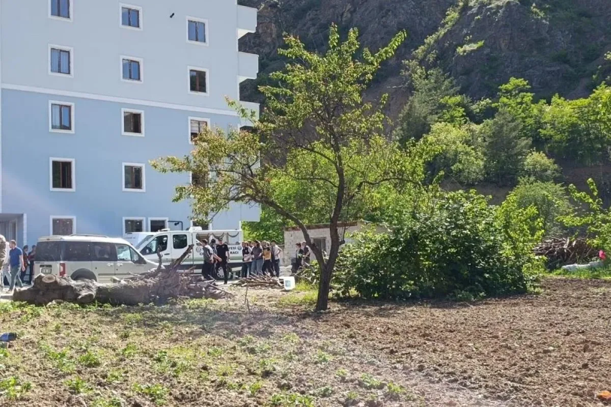 Eşini odunla döverek öldürdü