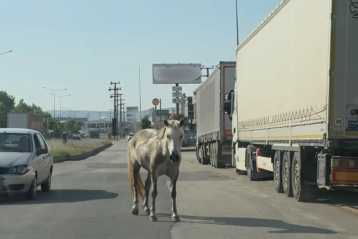 İnegöl'de trafiğe girdiler, ortalık karıştı