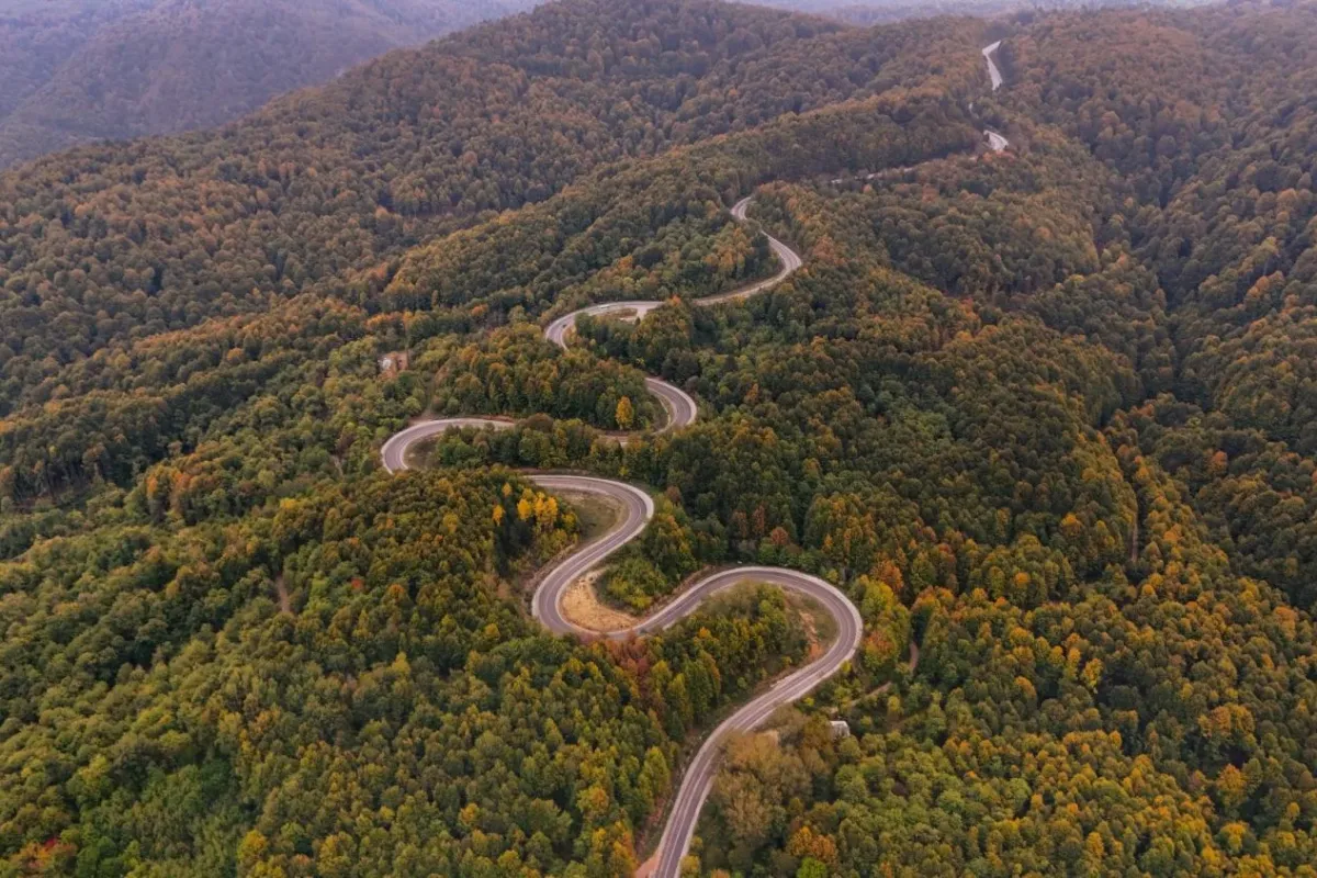 Bursa’da orman kurallarına uymayanlara ağır ceza...