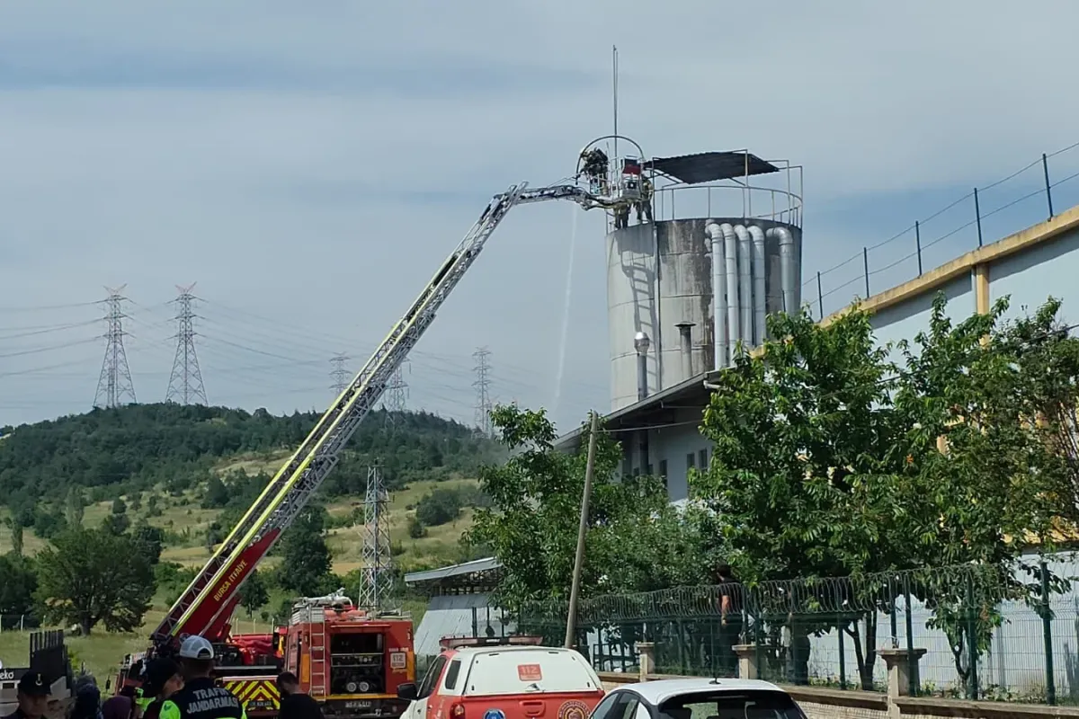 Az daha ekmek tekneleri yok oluyordu!