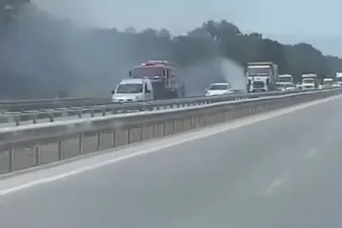 İzmir-Bursa kara yolunda alevler korkuttu
