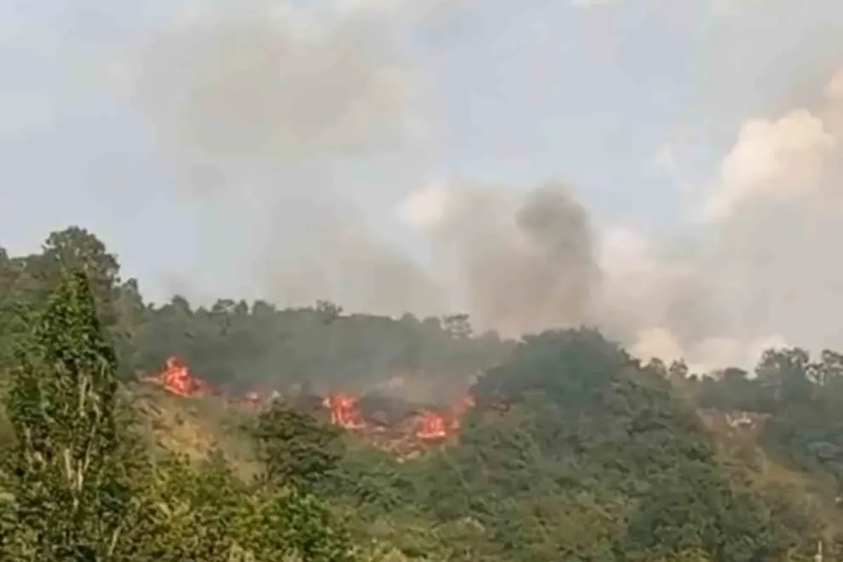 Bursa’da makilik alanda yangın