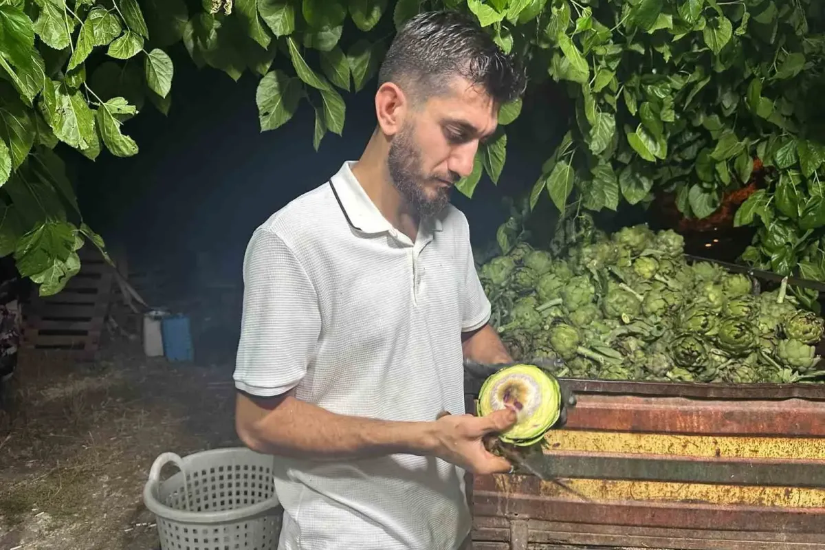Ailecek enginar soyucular: Soyması 10 saniye sürüyor