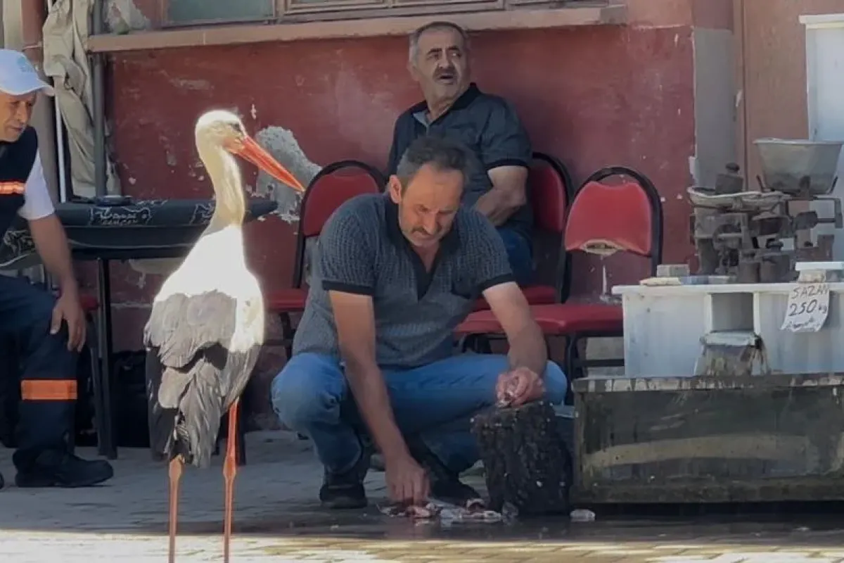 Yaren’in hikayesine rakip oldu! Kahvehanede arkadaşlarını ziyaret ediyor