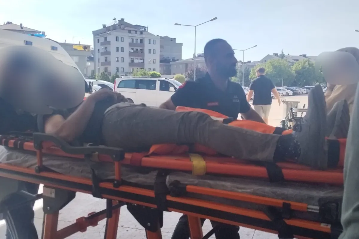 Ormanda kestiği ağaç üzerine düştü