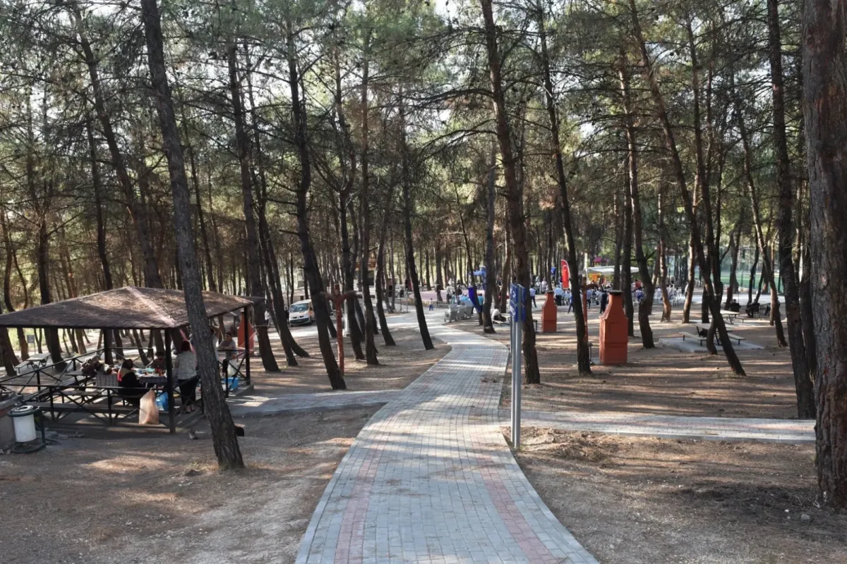 Bursa’da Ormanlara Giriş Yasaklandı: Yeni Tedbirler Açıklandı