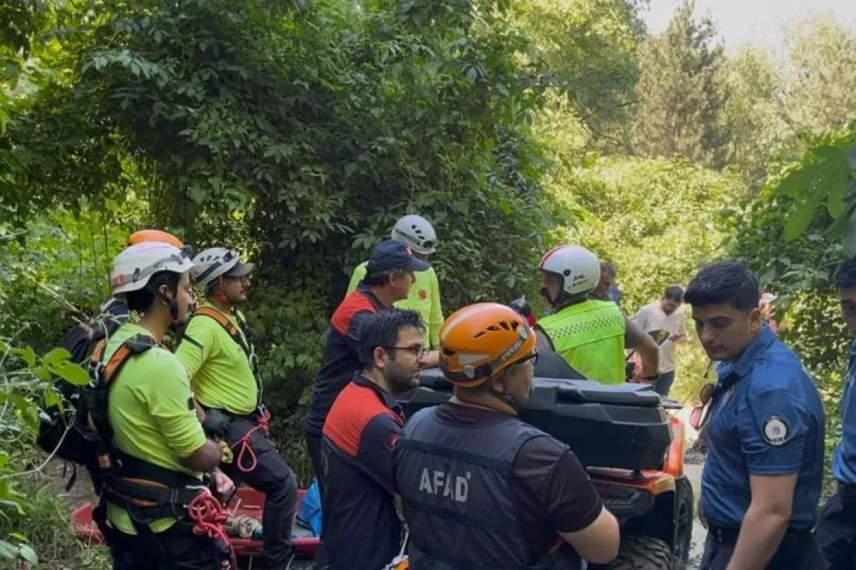 Ihlamur toplamaya gitti: Feci şekilde can verdi!