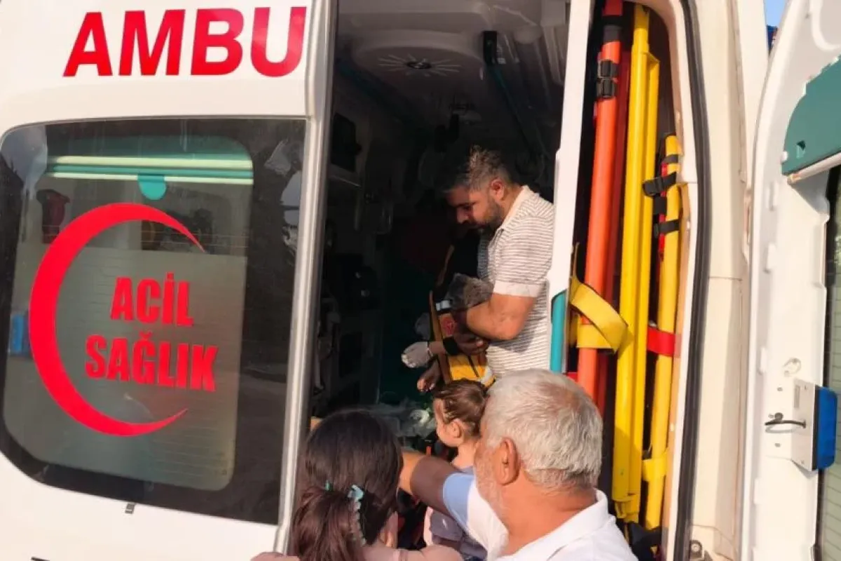 İnegöl'de yangında mahsur kalan anne ve yavruları hayata döndürüldü