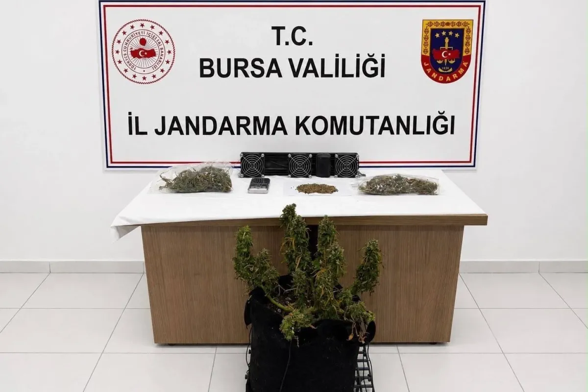 İnegöl Dahil 3 İlçede Skunk ve Kenevir Ele Geçirildi