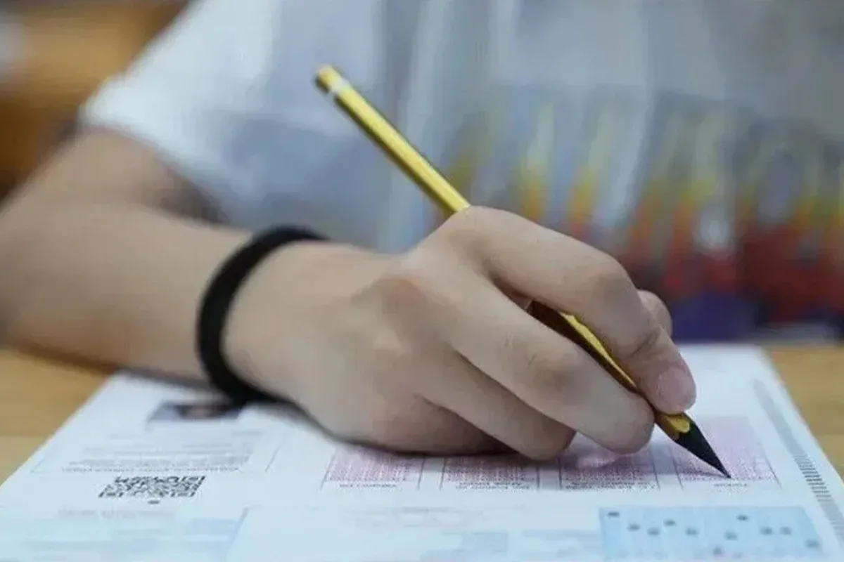LGS Tercihleri Başladı! Tercih Yaparken Hangi Yüzdelik Dilim Esas Alınmalı?