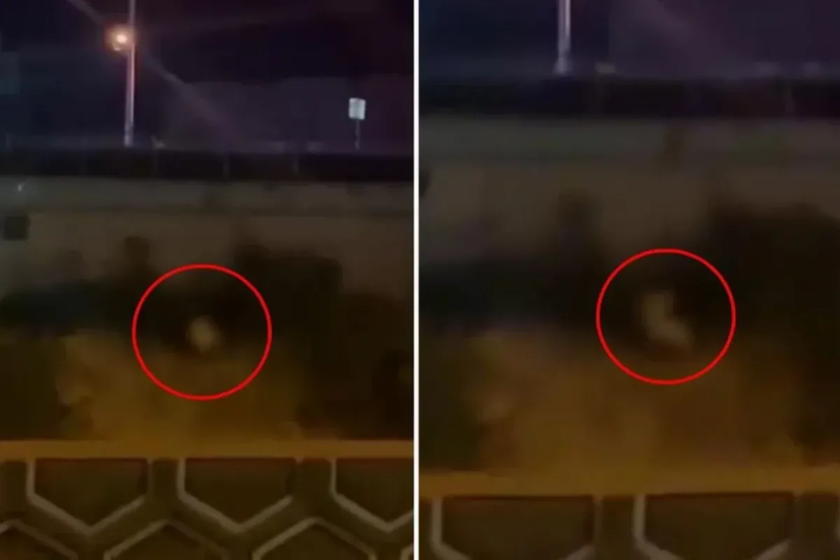 Yol kenarında skandal görüntüler! Kimseye aldırış etmediler