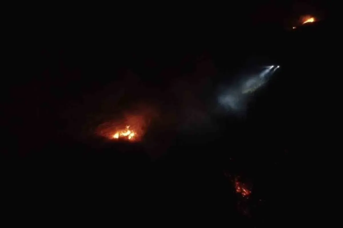 Balıkesir’de gece yarısı orman yangını çıktı