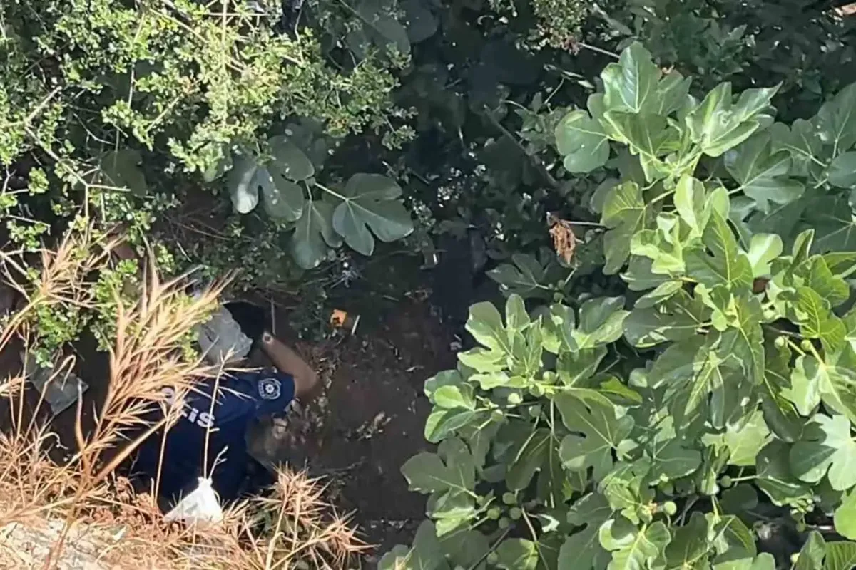 10 metreden düşen kadın, yardıma gelen polislerden kaçtı