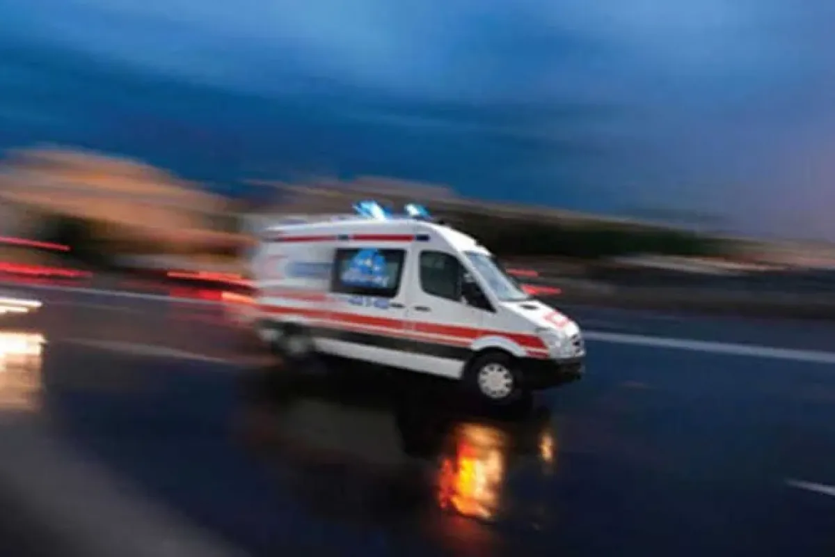 Mobilya ustasını eşek arısı soktu doğum gününde hayatını kaybetti