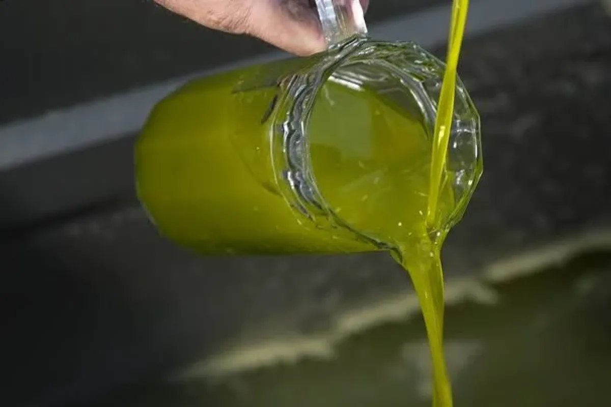 Tarım Bakanlığı İfşa Etti! Bu 3 Zeytinyağı Markasında Hile Tespit Edildi