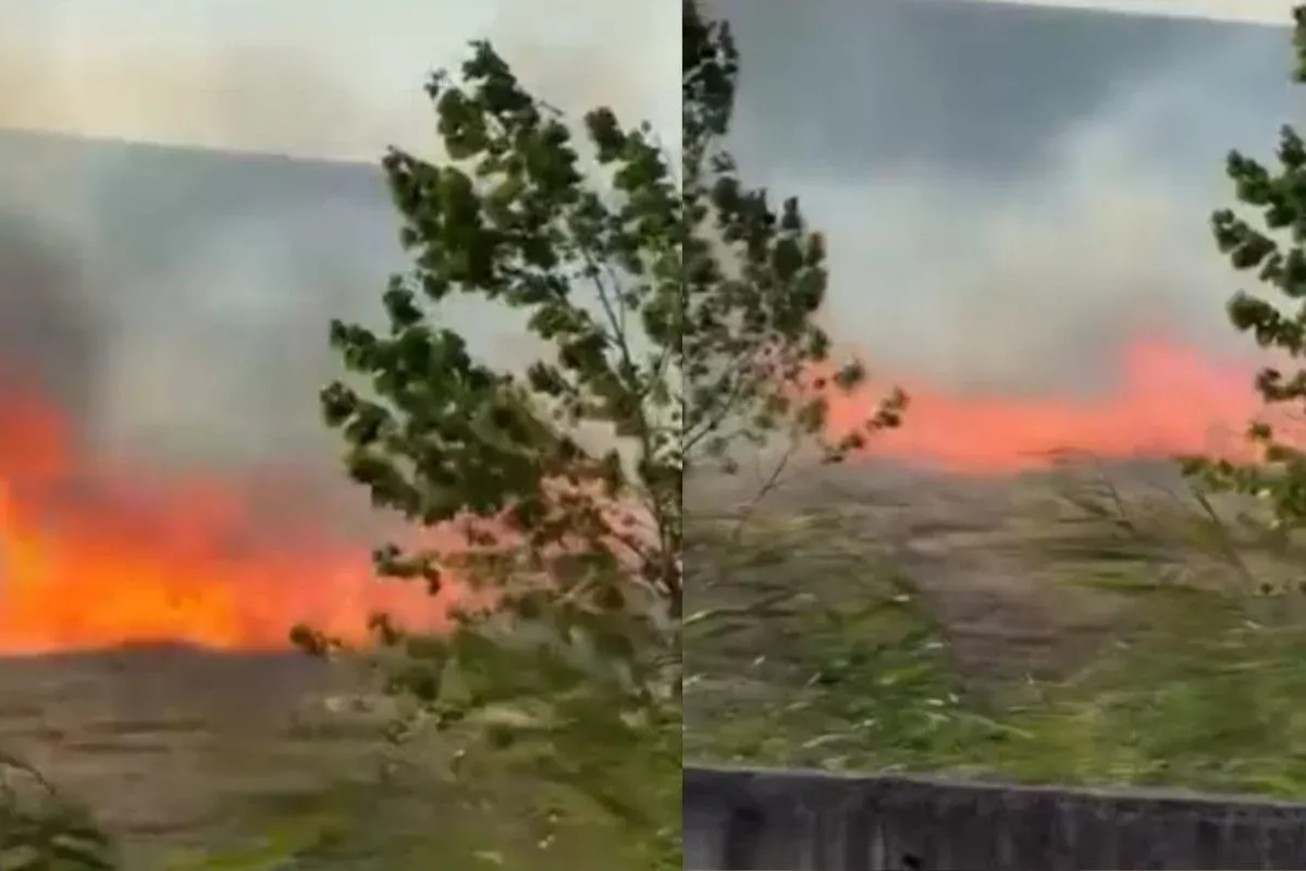 Fabrikanın yanındaki boş arazide korkutan yangın