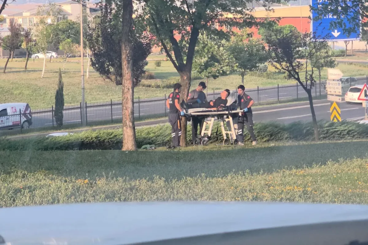 İnegöl'de ağaçlık alanda yaralı olarak bulundu!