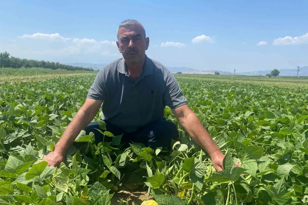 Bu köyde çiftçi sadece tarlasını hazırlıyor, gerisini kooperatif yapıyor