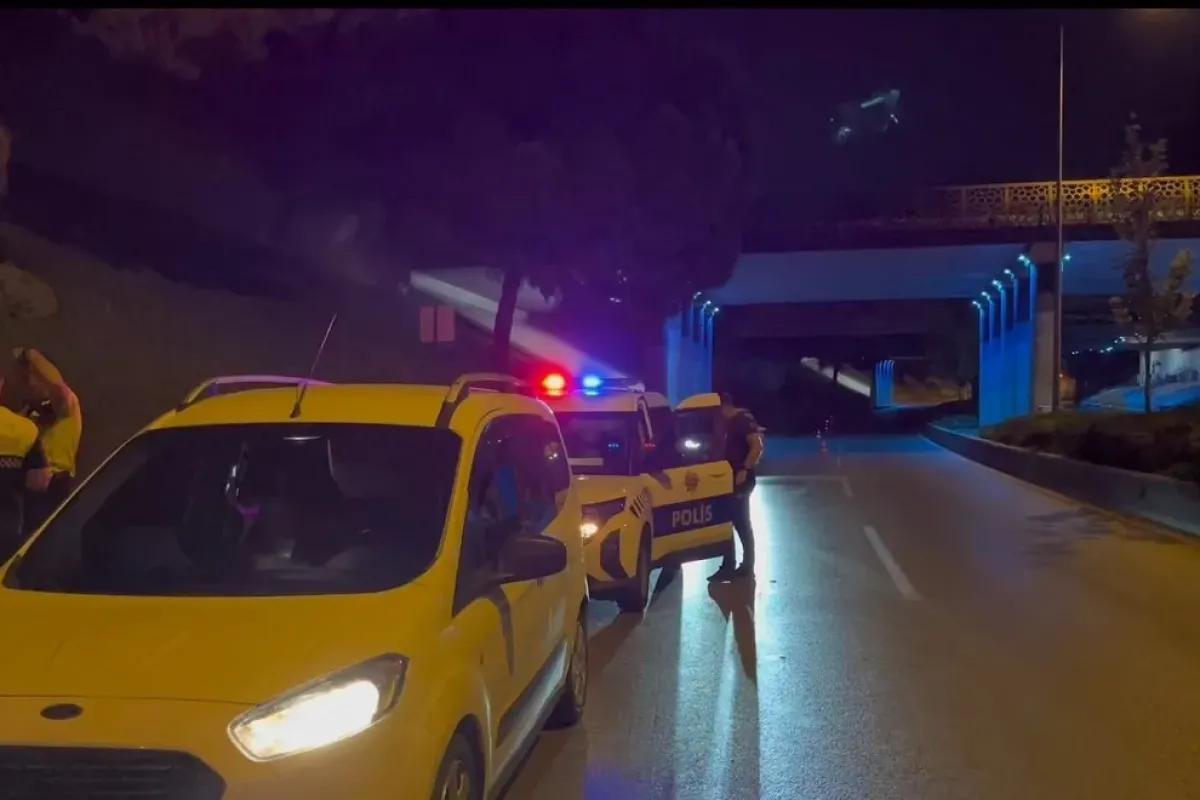 Kardeş kavgası babayı yola, polisi sokağa döktü