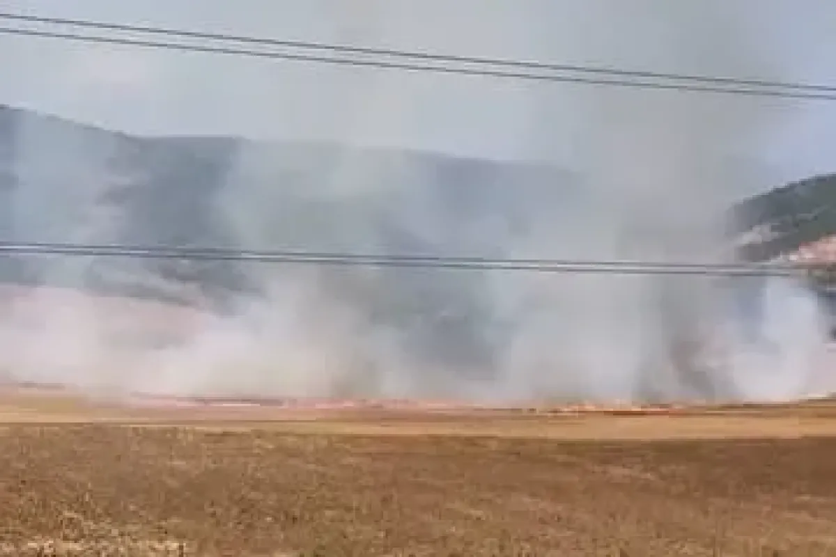 Bursa’da tarlalık alanı ateşe veren şüpheli yakalandı