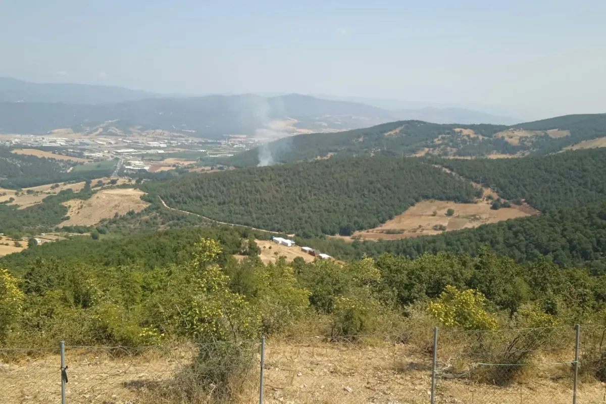 Ümitalan'da Orman Yangını! Ekipler Bölgeye Sevk Edildi