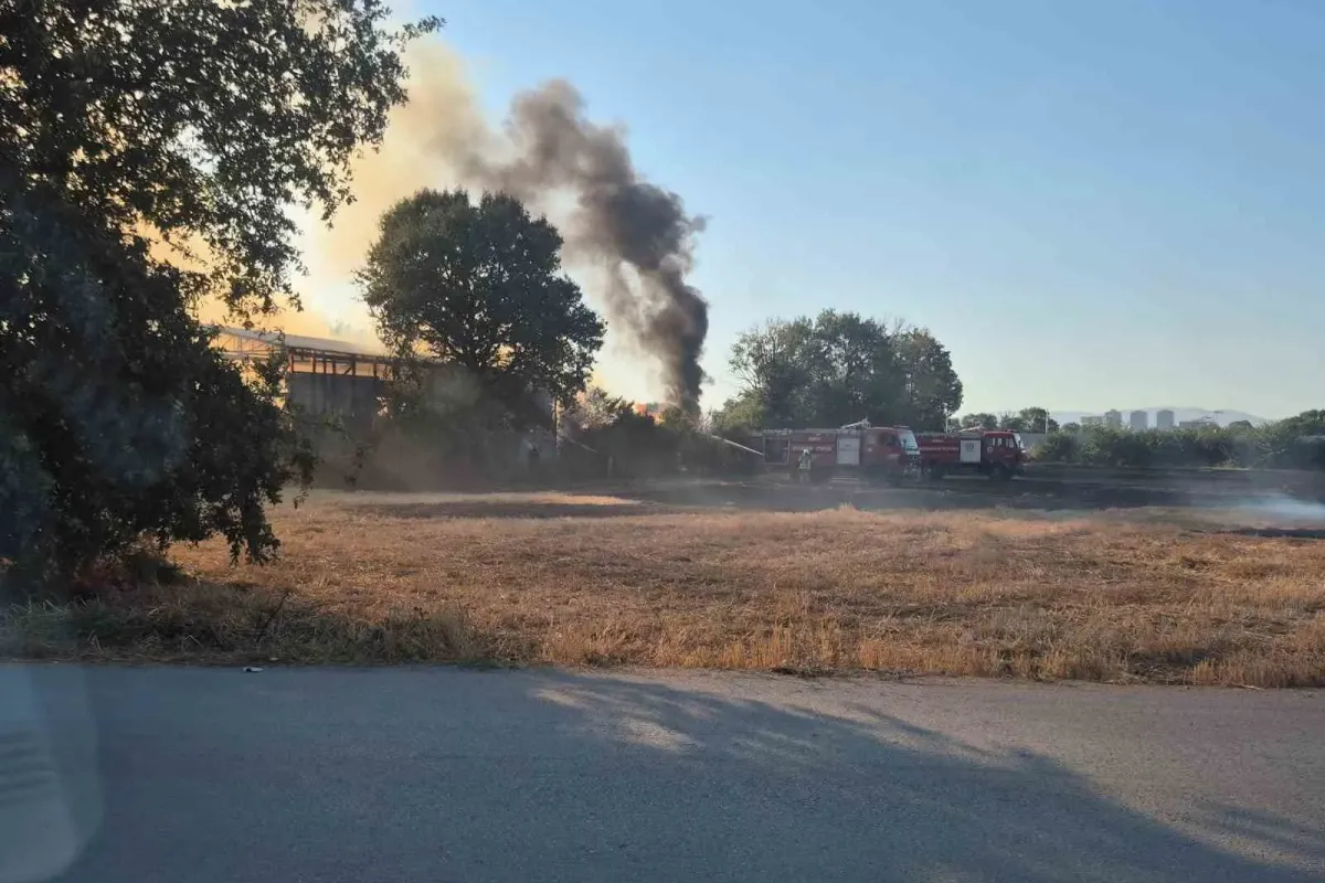 Bursa’da depo ve tarlalık alanda yangın