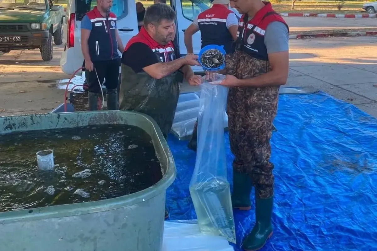 İpsala’da üretilen 2 milyon 324 bin 500 yavru sazan bölge sularıyla buluşuyor