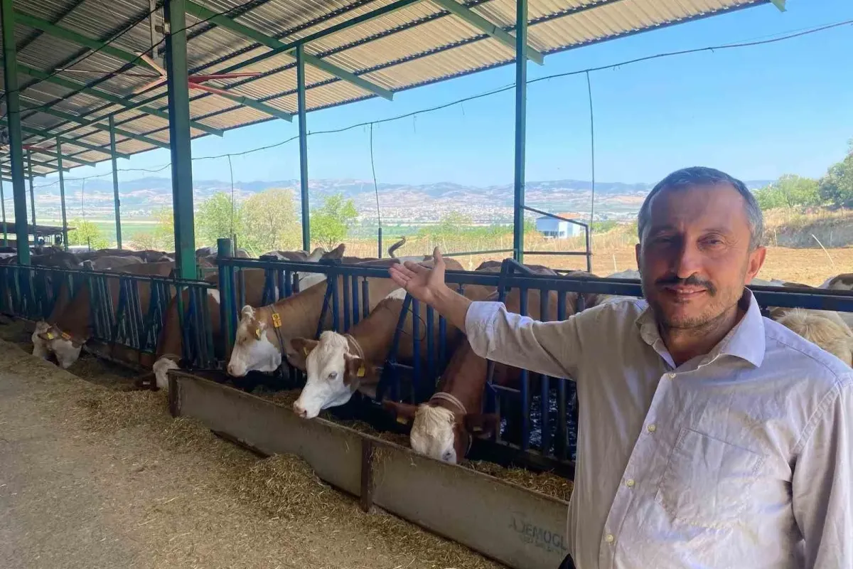 Yapay zeka ile süt üretimi nasıl yapılıyor? Bursa’daki çiftlikten örnek