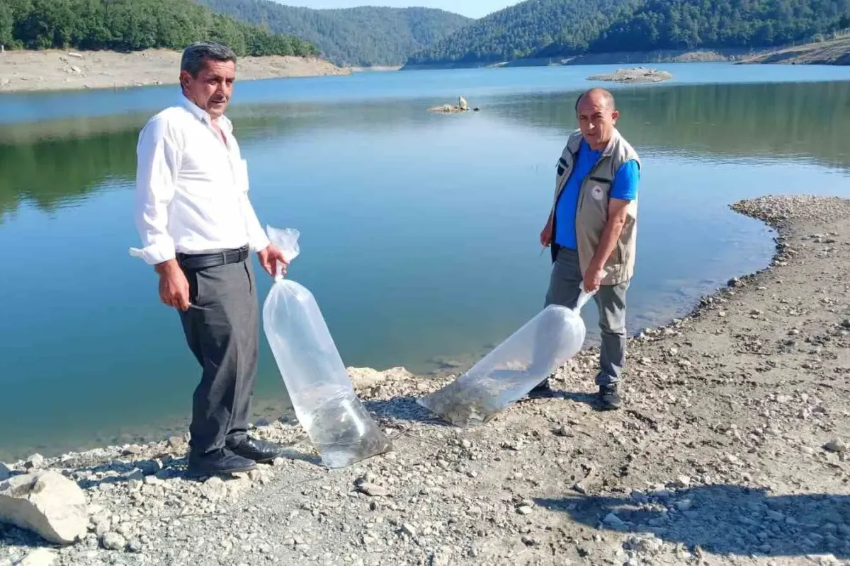 Orhaneli’de göletler sazan yavrularıyla buluştu