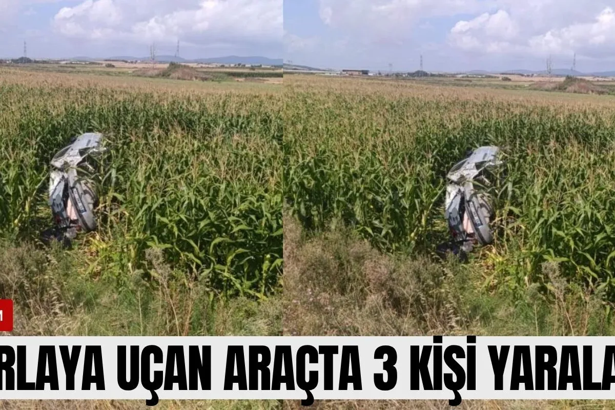 Tarlaya uçan araçta 3 kişi yaralandı!