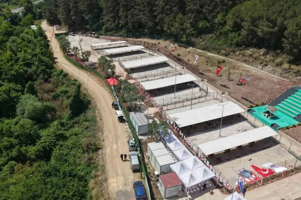 Bursa Hayvan Hakları Platformu’ndan Gemlik Belediyesi’ne tepki: "Kapıları açın"